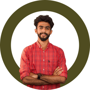 DIGITAL MARKETING STRATEGIST IN PALAKKAD